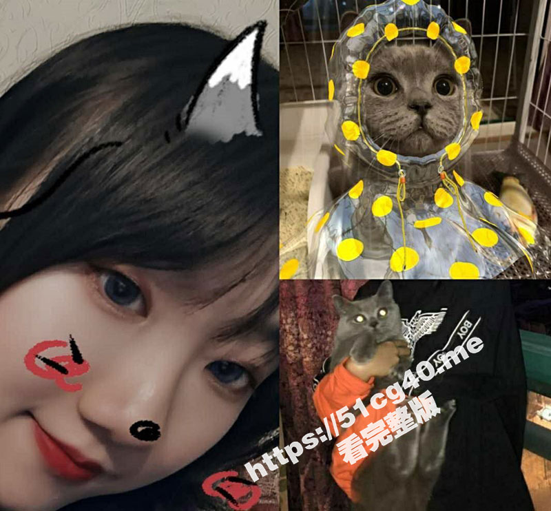 赣南师范大学 极品反差眼镜娘 王璐菲 探探聊了两周就能带出来车震 水多逼又紧-51吃瓜网