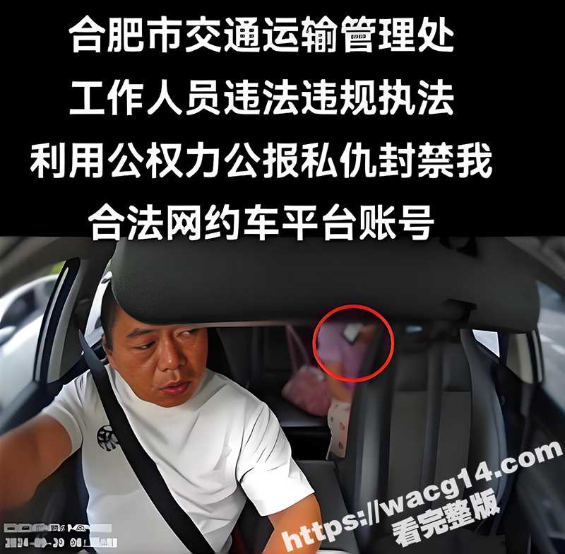 合肥亮证姐 强行执法女结局 司机身份曝光 官方通报 涉事人员调离岗位！-51吃瓜网